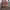 https://res.cloudinary.com/billionhands/image/upload/v1775516878/items/hkwnvxvlbhmqujbiwber.webp-2cover