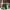 https://res.cloudinary.com/billionhands/image/upload/v1775516878/items/ig2silc4crtczgusn8y0.webp-3cover