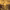 https://res.cloudinary.com/billionhands/image/upload/v1775516897/items/wrpdn7i8jcmiwyncxudl.jpg-2cover