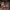 https://res.cloudinary.com/billionhands/image/upload/v1775517028/items/uwmwbvudumnfxmb3hug9.jpg-1cover