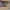 https://res.cloudinary.com/billionhands/image/upload/v1775517056/items/bvkwfq4qopinqjvkec1l.jpg-1cover