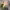 https://res.cloudinary.com/billionhands/image/upload/v1775517081/items/msdgqezfmm4kngxftjkj.jpg-1cover