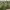 https://res.cloudinary.com/billionhands/image/upload/v1775517158/items/yjhcsxbxvgvu9ey3opat.jpg-0cover