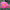 Pink Freedom (Shrub Rose) (New in 2024) cover