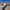 https://res.cloudinary.com/billionhands/image/upload/v1775517166/items/mseplcj9d0tnaexbovuz.jpg-0cover