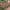 https://res.cloudinary.com/billionhands/image/upload/v1775517166/items/vklpungpxkfuprupwuoy.jpg-1cover