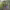 https://res.cloudinary.com/billionhands/image/upload/v1775517224/items/jyrcy3slldxjzi8qcvtg.jpg-3cover