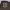 https://res.cloudinary.com/billionhands/image/upload/v1775517265/items/hfoo7bptkwconpu6hepa.jpg-3cover