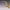 https://res.cloudinary.com/billionhands/image/upload/v1775517267/items/wjdzodhyficn5s63mysp.jpg-2cover