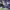 Washington Commanders vs. Detroit Lions (NFC Divisional Round) (January 2025) cover