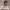 https://res.cloudinary.com/billionhands/image/upload/v1775517330/items/p8o6nxzg7yrw9rkmsjsw.jpg-1cover