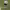https://res.cloudinary.com/billionhands/image/upload/v1775517390/items/mlrxywfjpctmp6ajwcv7.jpg-3cover