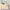 https://res.cloudinary.com/billionhands/image/upload/v1775517413/items/l4w2uk40yjbmrnzxvrko.webp-3cover