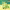 https://res.cloudinary.com/billionhands/image/upload/v1775517413/items/pzoz5esfwhnbwyc2ypmw.jpg-3cover