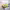https://res.cloudinary.com/billionhands/image/upload/v1775517464/items/ck3nm4xfmkoe1niahie6.jpg-1cover