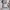 https://res.cloudinary.com/billionhands/image/upload/v1775517684/items/ig3otmjuxhz8wxot0yrr.webp-3cover