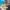 Technomic: Global Foodservice Trend Predictions (2026) cover