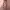 https://res.cloudinary.com/billionhands/image/upload/v1775517816/items/cdbxdpgzv3zge7kza0kc.webp-3cover