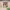 https://res.cloudinary.com/billionhands/image/upload/v1775518177/items/ruahmg3qq6dded0d6gaq.webp-1cover