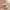 https://res.cloudinary.com/billionhands/image/upload/v1775518250/items/ux0pvaux8gqamdie0jol.webp-2cover