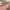 https://res.cloudinary.com/billionhands/image/upload/v1775518255/items/oyxdoirrzsfudq45xyzn.webp-1cover
