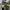 https://res.cloudinary.com/billionhands/image/upload/v1775518461/items/yn43zqq7lkdemfw6sf56.jpg-0cover