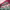 https://res.cloudinary.com/billionhands/image/upload/v1775518469/items/cm6ichkbttvnxobiejlc.webp-3cover