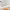 https://res.cloudinary.com/billionhands/image/upload/v1775518519/items/spi21s2ftkpic27f0nbv.webp-3cover