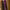 https://res.cloudinary.com/billionhands/image/upload/v1775518606/items/e5hs8ff3rkye8vmsdgbg.jpg-0cover