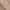 https://res.cloudinary.com/billionhands/image/upload/v1775518706/items/fsfr89bhtfzeigtwzbfq.webp-0cover