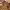https://res.cloudinary.com/billionhands/image/upload/v1775518707/items/rdibjt4m0sqx51odwyu8.jpg-0cover