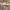 https://res.cloudinary.com/billionhands/image/upload/v1775518762/items/x6teovemlgfhxecti3du.jpg-3cover