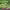 https://res.cloudinary.com/billionhands/image/upload/v1775518912/items/gxcyinp8dzorm2metseh.jpg-1cover