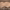 https://res.cloudinary.com/billionhands/image/upload/v1775545292/items/zbpbwmslhoxvv6g5pxnq.jpg-2cover