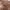 https://res.cloudinary.com/billionhands/image/upload/v1775545321/items/exma7ru0codi2vammnsh.webp-3cover