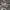 https://res.cloudinary.com/billionhands/image/upload/v1775545352/items/uvvg89bh0z1tcjseth8s.jpg-3cover