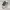https://res.cloudinary.com/billionhands/image/upload/v1775545363/items/zki4d2bvwcoztw2fc9gd.jpg-1cover