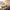 WARSHIP BATTLE:3D World War II cover