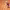 https://res.cloudinary.com/billionhands/image/upload/v1775545463/items/o9ivcvfo5p4xjcakllkn.jpg-3cover