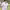 https://res.cloudinary.com/billionhands/image/upload/v1775545586/items/ffjnwa9gzfij3li1eq6a.webp-2cover