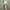 https://res.cloudinary.com/billionhands/image/upload/v1775545603/items/etauiynyq6p4slyis4kl.jpg-0cover