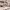 https://res.cloudinary.com/billionhands/image/upload/v1775545618/items/tmljpjosscwsmpdflodp.webp-2cover