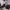 https://res.cloudinary.com/billionhands/image/upload/v1775545621/items/drtsdusc5rczdcdt20ti.avif-1cover