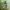https://res.cloudinary.com/billionhands/image/upload/v1775545712/items/pifvucgewp08dpfeqqov.webp-2cover