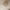 https://res.cloudinary.com/billionhands/image/upload/v1775545727/items/b2bd5ssd1svrfvg7znln.webp-0cover