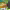 https://res.cloudinary.com/billionhands/image/upload/v1775545748/items/h5krbv1wd1byx6ggwu5i.webp-3cover