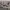 https://res.cloudinary.com/billionhands/image/upload/v1775546098/items/y1ek5od8nuwxtxdwl002.png-0cover