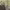 https://res.cloudinary.com/billionhands/image/upload/v1775546164/items/bdzpz837wxohxes7ic2s.webp-3cover