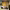 https://res.cloudinary.com/billionhands/image/upload/v1775546232/items/oi6mst0i8xfilr0h1de3.jpg-2cover
