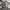 https://res.cloudinary.com/billionhands/image/upload/v1775546435/items/olidpmbbmthfon9gz2wx.webp-2cover
